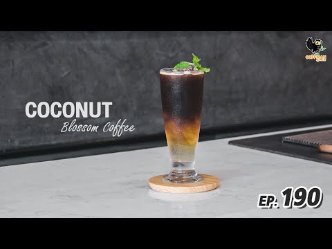 สอนชงเมนู Coconut Blossom Coffee กาแฟดอกมะพร้าว | เมนูตาโต | EP.190