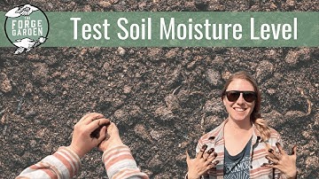 How to test the soil for the correct moisture level