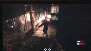 COD5 DER RIESE ULTIMATE GLITCH MULTIPLE PEOPLE