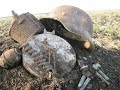 Фильм 24 Раскопки в полях Второй Мировой Войны/Film 24 Excavation in fields of World War II