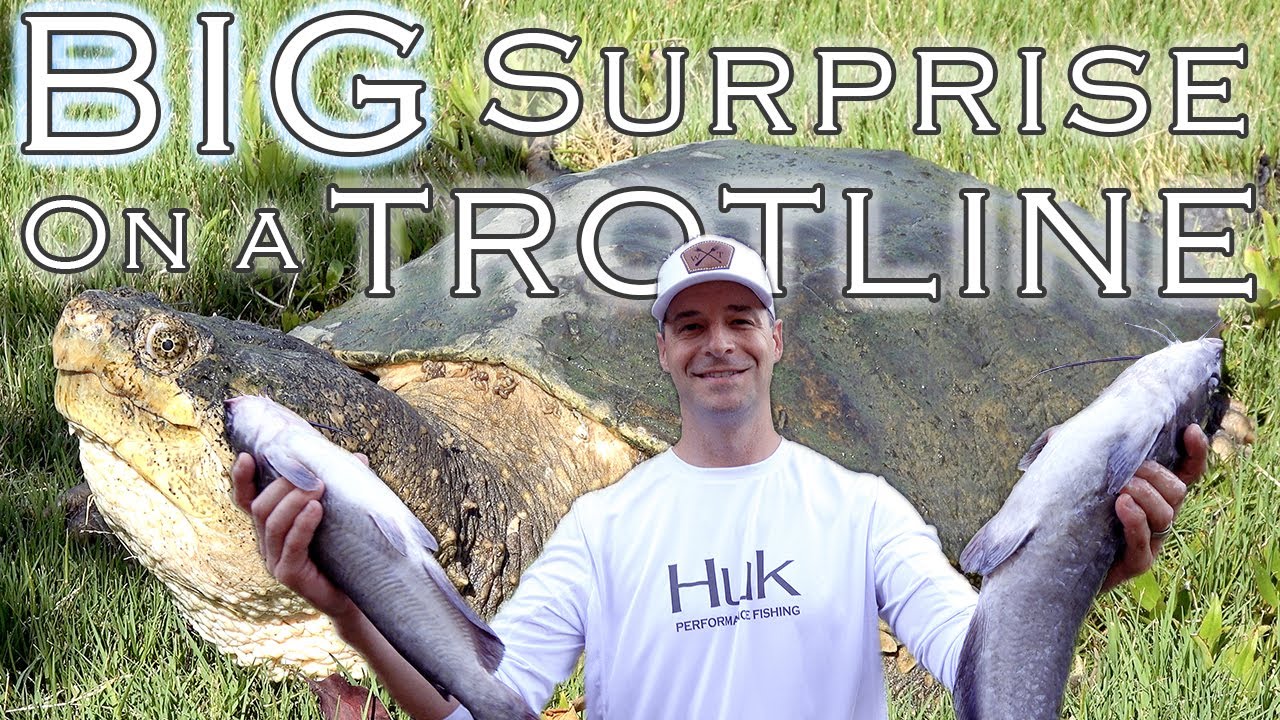 Catching CATFISH and a HUGE SNAPPING TURTLE on a Trotline! How to Make a  Trotline & CATCH CLEAN COOK 