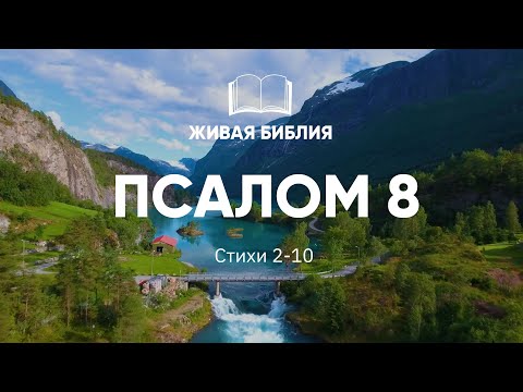 Живая Библия. Псалом 8 | Библия в видео формате