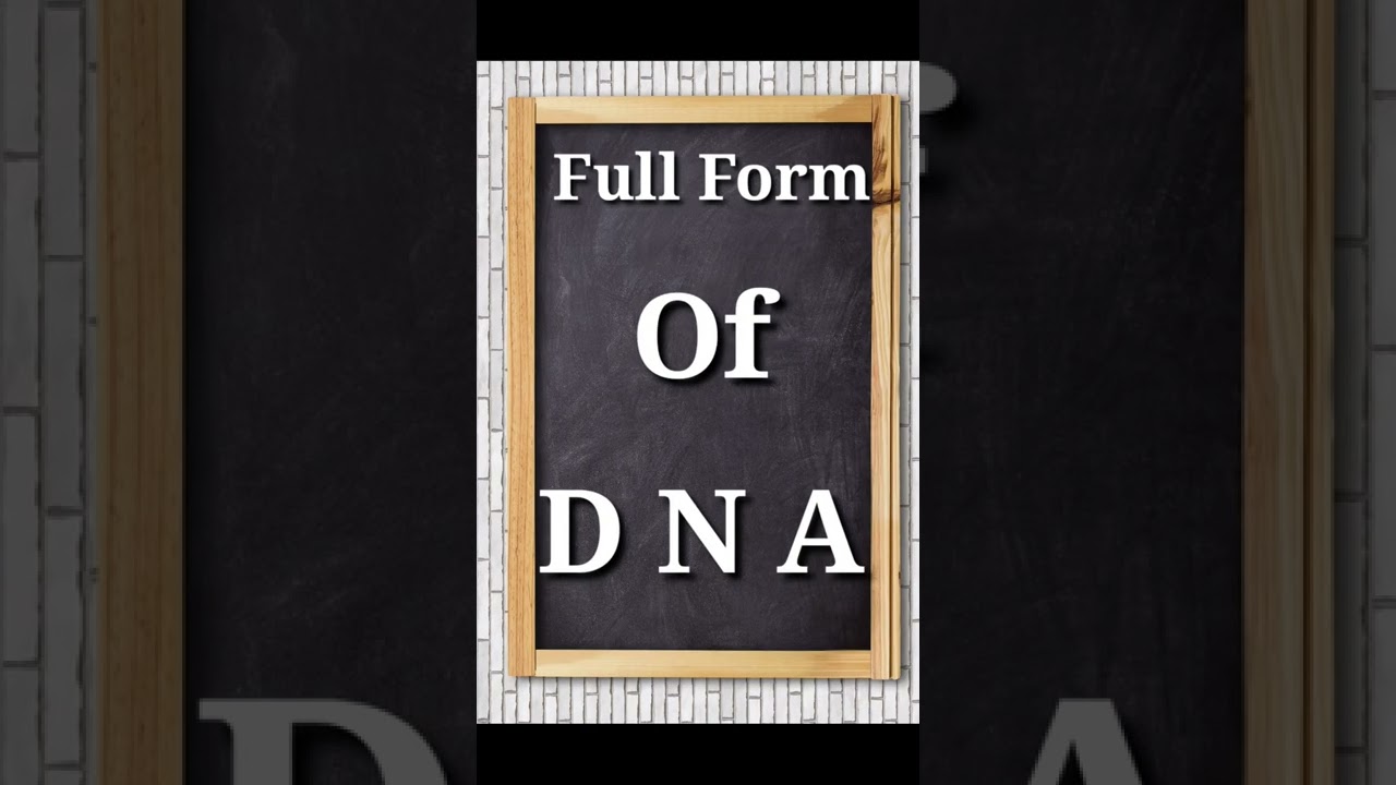 Full Form Of DNA What Is The Full Form Of DNA YouTube full-form-of-dna-what-is-the-full-form-of-dna-youtube