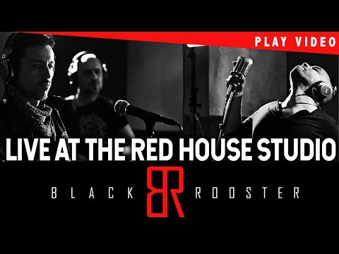 BLACK ROOSTER - speed of light official video 