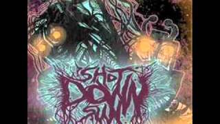 Shot Down Sun - A Perfect Murder