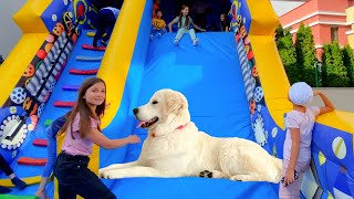 My Dog Threw a Party with a HUGE Slide