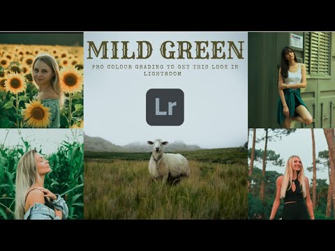 how I colour grade mild green look in Lightroom free dng #photography #lightroom #colourgrading