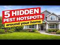 5 Hidden Pest Hotspots Around Your Home (Easy to Miss)