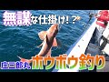 無謀なホウボウ釣り？庄三郎丸で誰もやらない仕掛けでホウボウ釣りに挑む