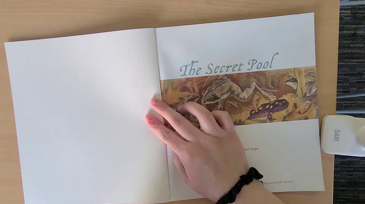 The Secret Pool by Kimberly Ridley