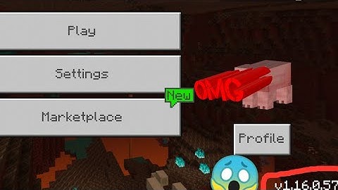 MCPE 1.16.0.57 GAMEPLAY/DOWNLOAD