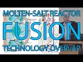Molten-Salt Fusion Reactors and Molten-Salt Fission Reactors - Dr. Charles Forsberg @ ORNL MSRW 2019