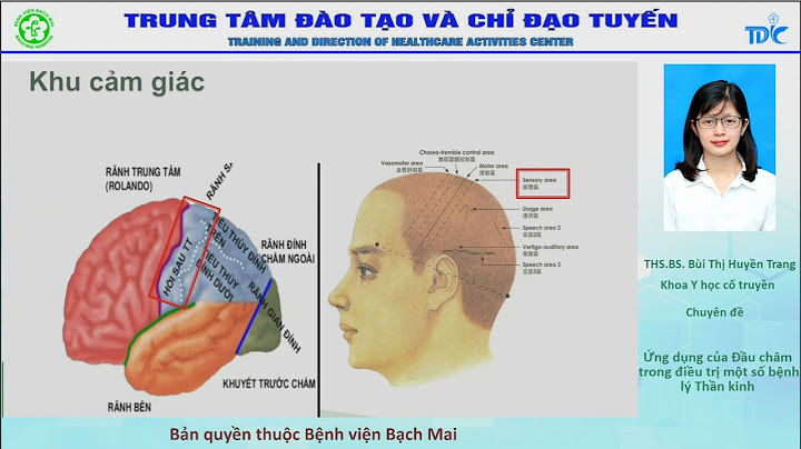 Đánh giá tác dụng châm cứu trong điều trị