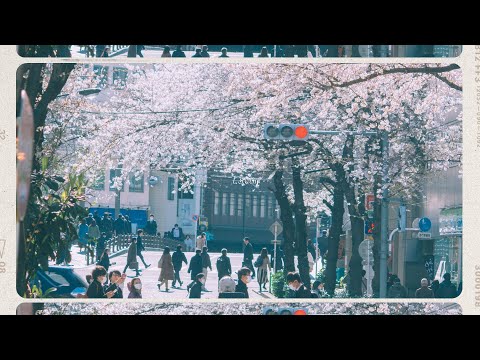 [Playlist] 광고없는 봄에 듣기 좋은 달달한 플레이리스트 ❤️ Spring Blossom Songs