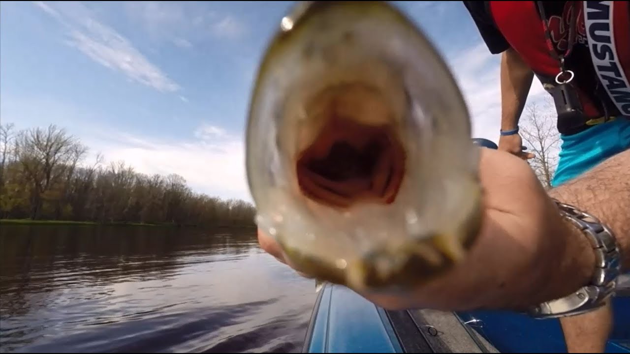 Fishing Current Breaks