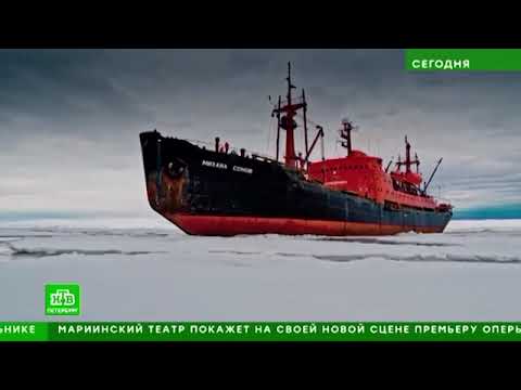 В Петербурге состоялась премьера фильма-открытия «В Арктику»