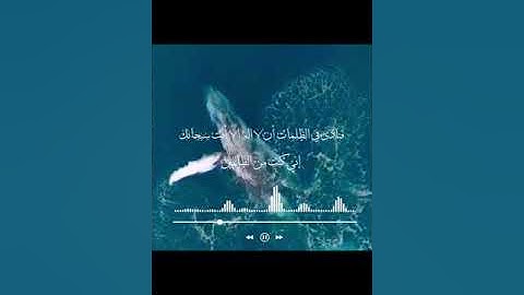 و ذا النون إذ ذهب مغاضبًا بصوت إسلام صبحي |تلاوة رائعة❤️، راحة 💆‍♂️