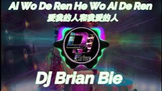 Ai Wo De Ren He Wo Ai De Ren  愛我的人和我愛的人  Remix by Dj Brian Bie