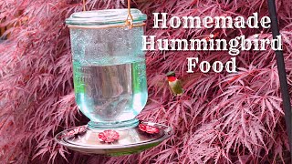 How To Make Hummingbird Nectar | Hummingbird Food Recipe | Hummingbird Video