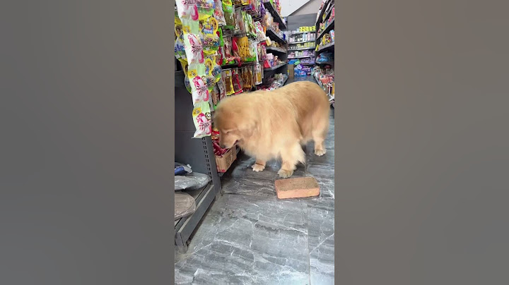 #If you don't have a dog, you don't know the fun of raising dog