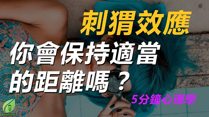 【好葉】刺蝟效應：你會保持距離嗎？ - 5分鐘心理學 - 天天要聞