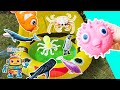 Learn Sea Animal Names for Babies Preschoolers Kids: Pufferfish Penguin Whale Shark Octopus