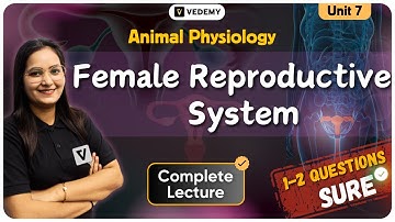 Female Reproductive System | Animal Physiology | Dr. Ravina | CSIR | GATE | DBT | ICMR | CUET-PG |