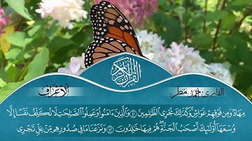 ما تيسر من أول سور الأعراف | من صلاة التراويح والقيام | القارئ / أحمد مطر