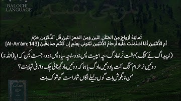 سورة الأنعام 141-147 بلوچی رجانک
