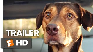 A Dog's Way Home International Trailer #1 (2019) | Movieclips Trailers