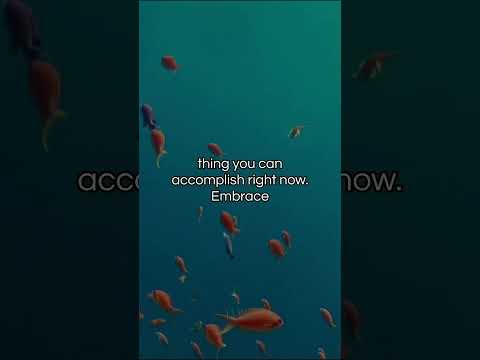 Forget Your Goals. Do This Instead.