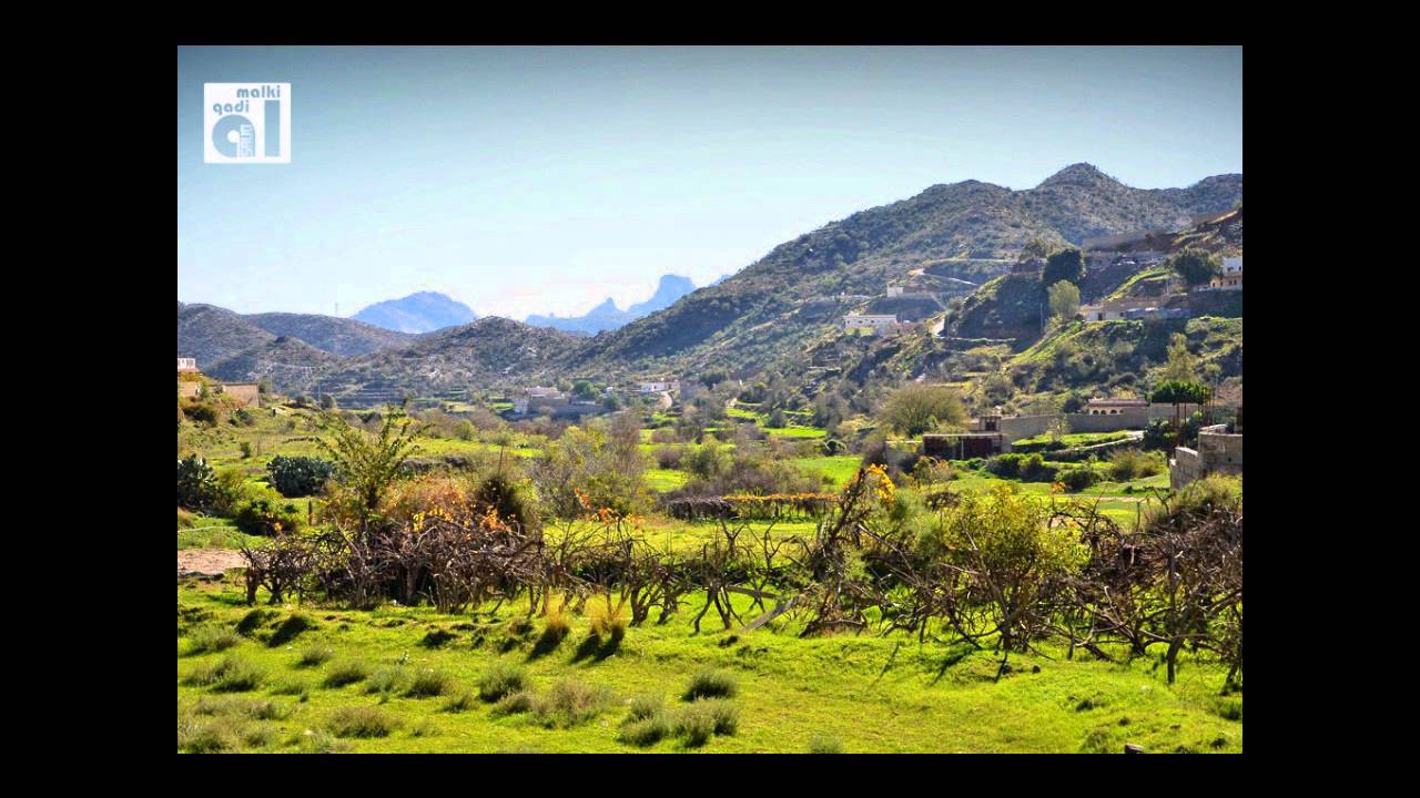 سلام ياديرتي