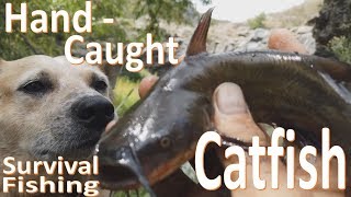 Catching Catfish By Hand -Survival Fishing-