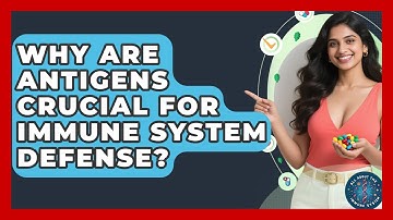 Why Are Antigens Crucial For Immune System Defense? - All About the Immune System