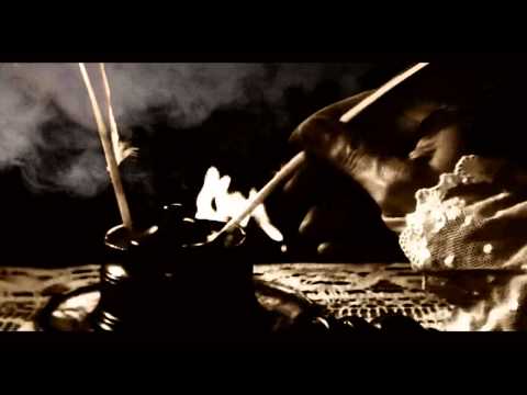 Sabaton - Carolus Rex (Lyrics) (Music Video)