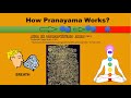 What is Pranayama | How it works | Benefits & Types of Pranayama