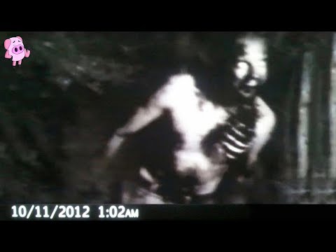 11-trail-camera-photos-that-cannot-be-explained