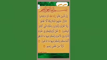 سورة(فصلت)القارئ الشيخ صلاح بوخاطر...💞😘💕🌹🍂