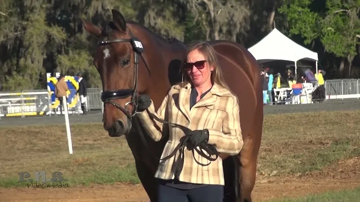 Heidi Hewlett Crowell & Tinraher Diamond Red Hills...