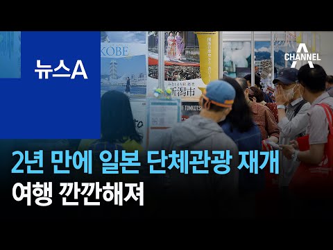2년 <strong>만에</strong> 일본 단체관광 재개…<strong>여행</strong> 깐깐해져 | 뉴스A
