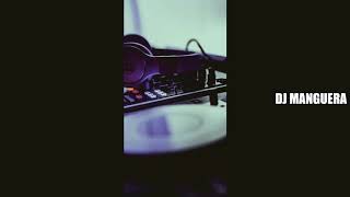 Mix Se Pela Cumbia Dj Manguera