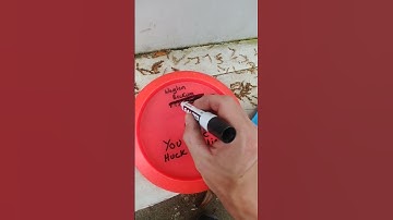 Permanent Marker Mistakes Removal Disc Golf