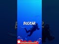 Verano en español: Acciones típicas de playa que debes conocer 🐚☀️