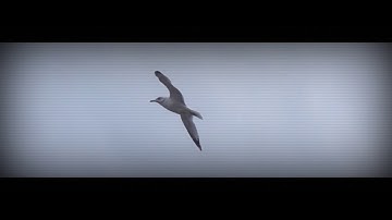 Democratizing Governance