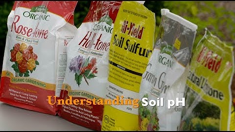 Understanding Soil pH