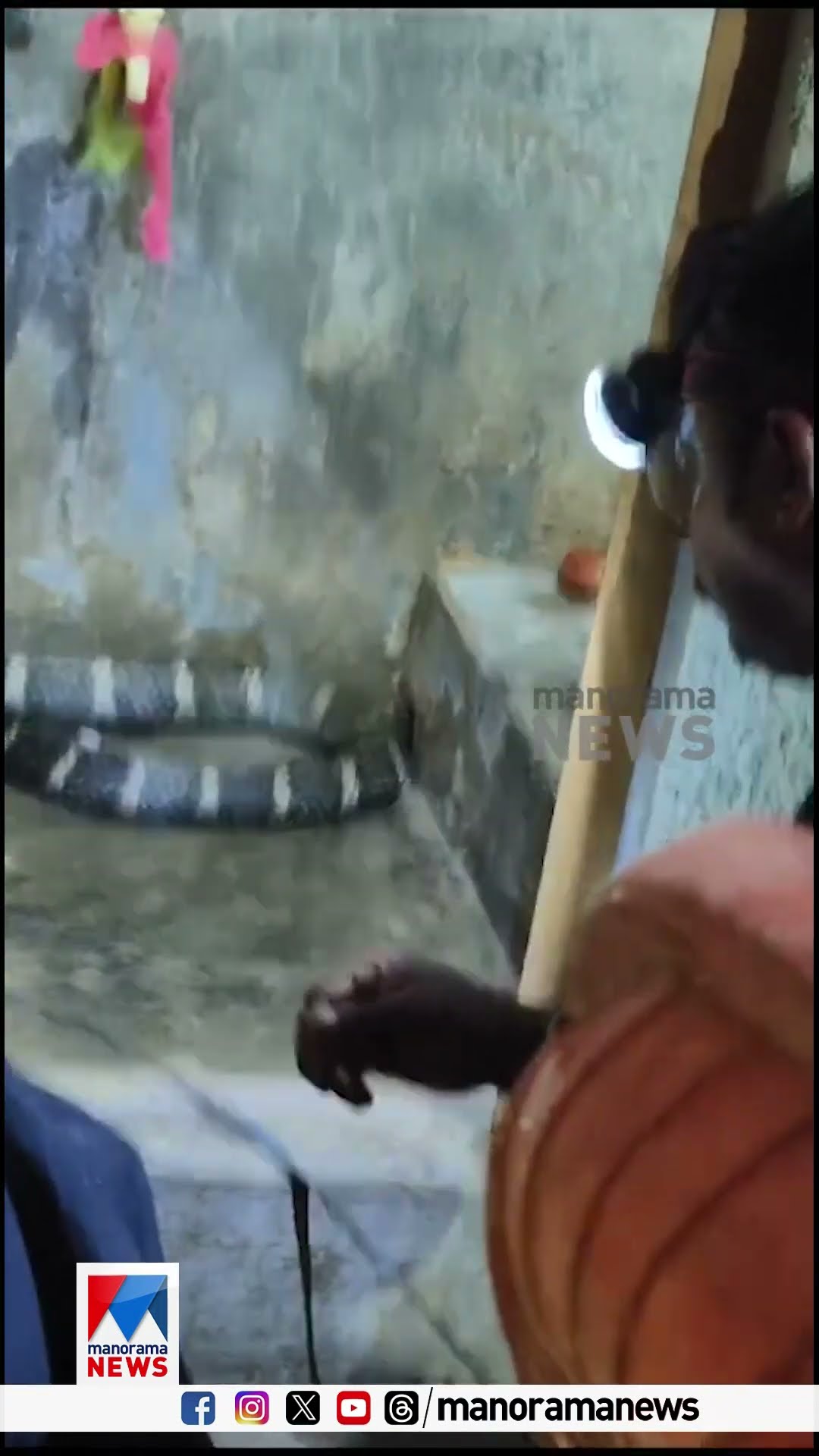 വീടിന്‍റെ ശുചിമുറിയില്‍ രാജവെമ്പാല; അമ്പരന്ന് വീട്ടുകാര്‍; കോതമംഗലത്ത് നിന്നുള്ള കാഴ്ചകള്‍|Kingcobra