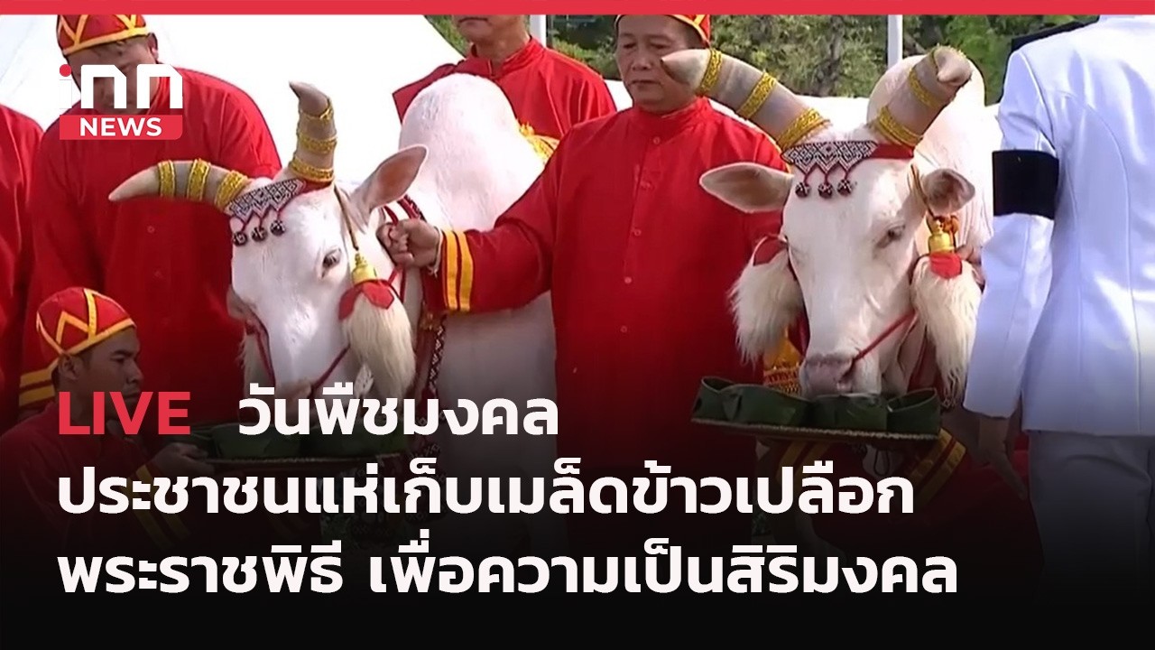 INNNEWS Live #วันพืชมงคล คึกคัก! ประชาชนแห่เก็บเมล็ดข้าวเปลือกในพระราชพิธี เพื่อความเป็นสิริมงคล