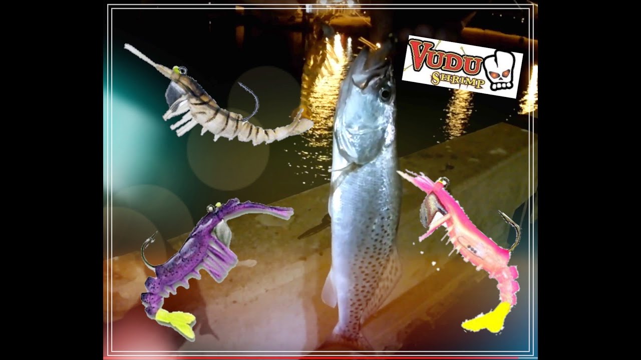 Night fishing Music video featuring Egret baits VUDU shrimp & A.M. lures  Trident fishing 