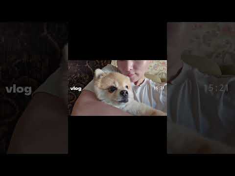 앵콜 회식, 다시 만들어준 멤버들 💙 thumbnail