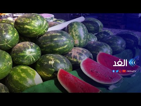 اسم البطيخ بالمغربي